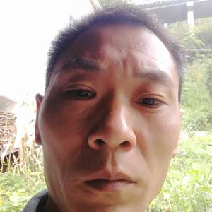 动了情伤了心