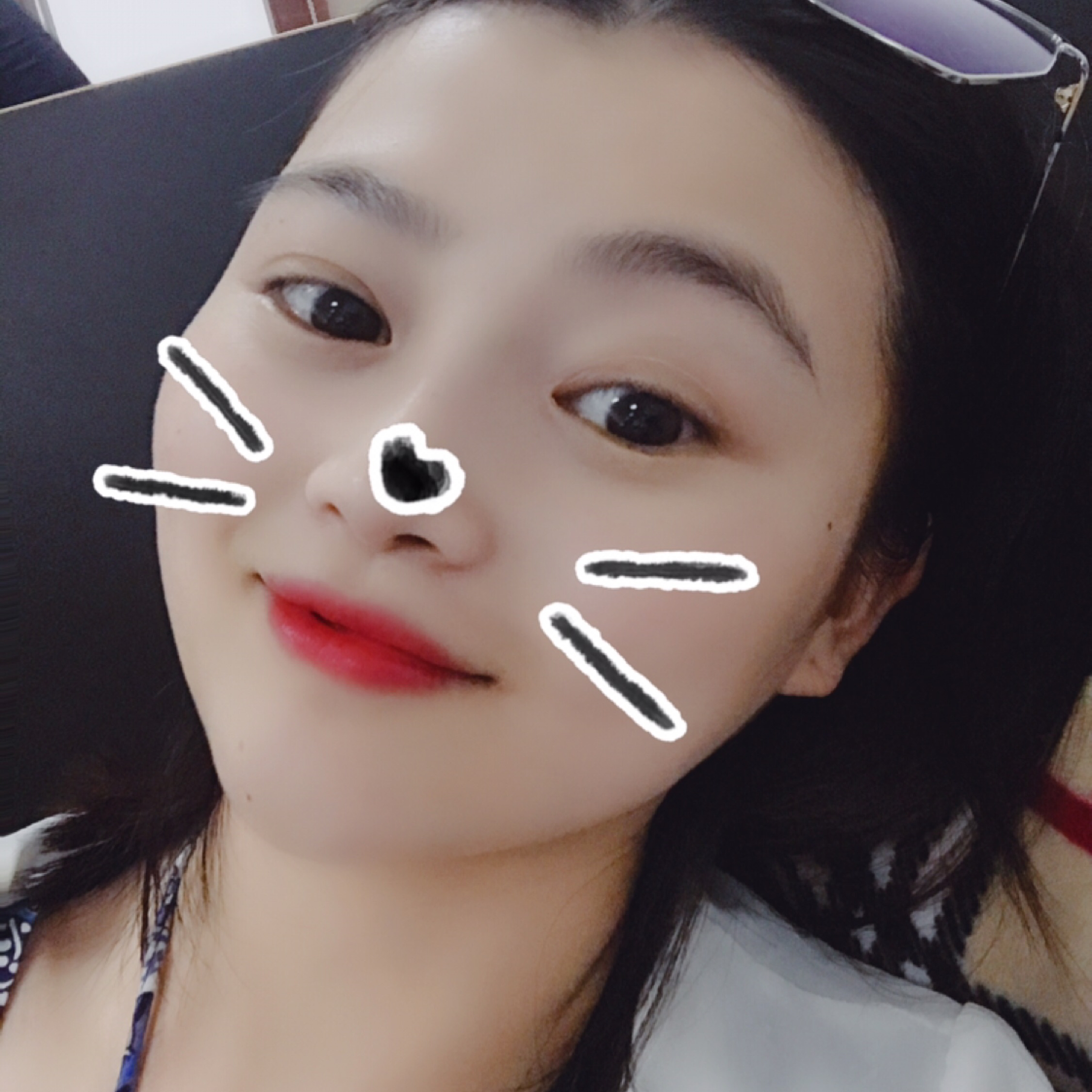 一只特立独行的猪