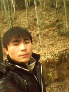 特里谷小夜曲小提琴曲谱(2)